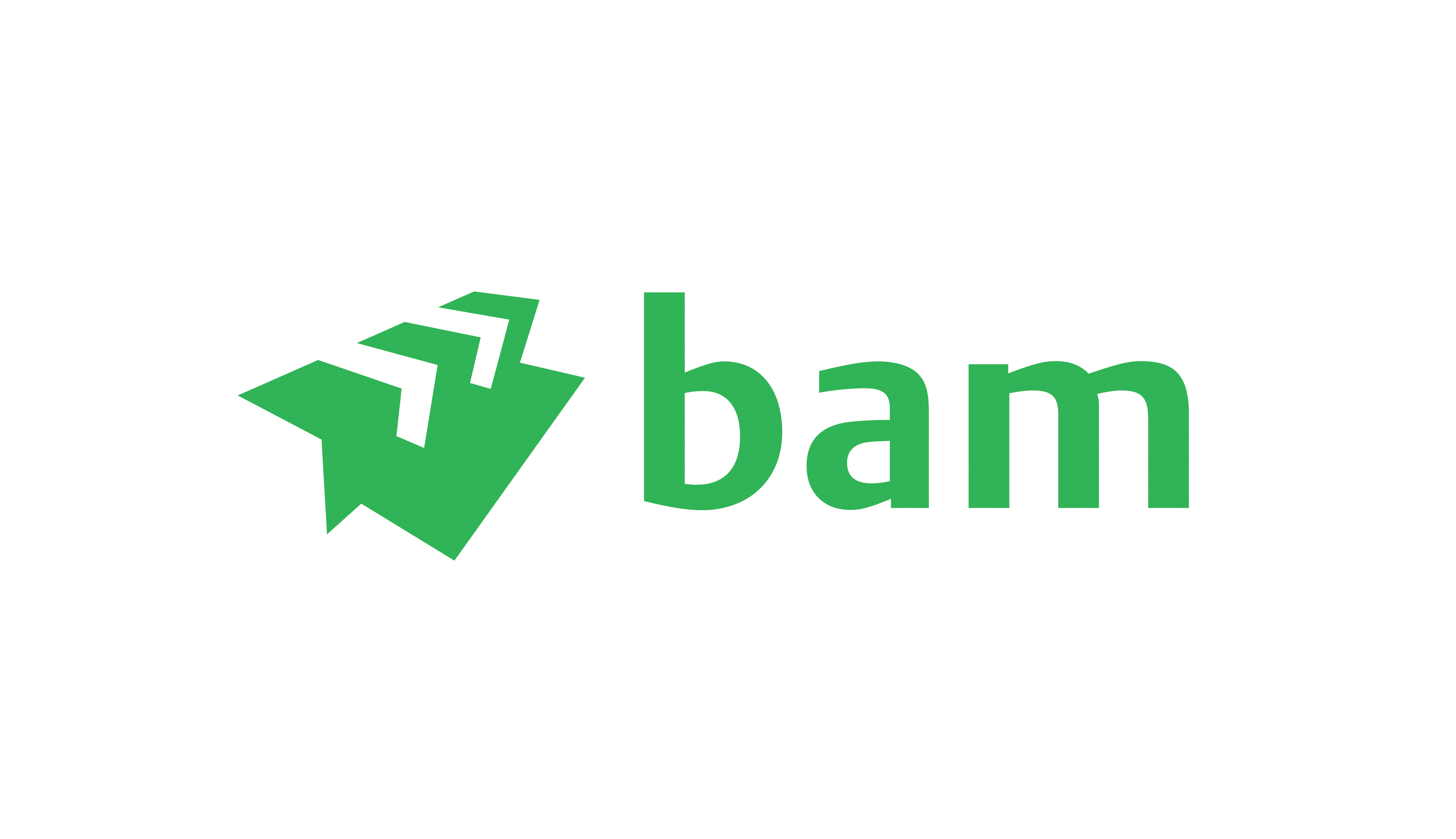BAM Nuttall