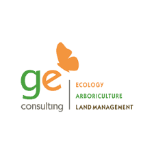 GE Consulting Services