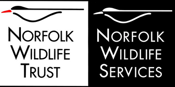 Norfolk Wildlife Services