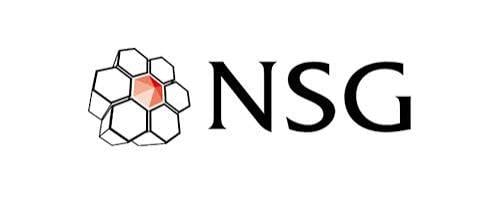 NSG Environmental